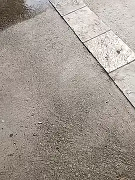 jvdzj-0  online show from 10-19-25, 03:34