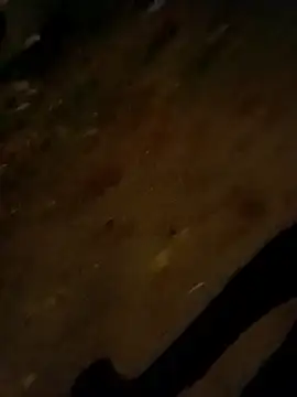 jvdzj-0  online show from 10-28-25, 09:50