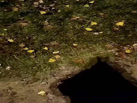 jvdzj-0  online show from 10-29-25, 10:44