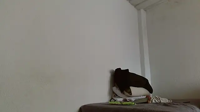 isabel 24 gil online show from 11-13-25, 04:50