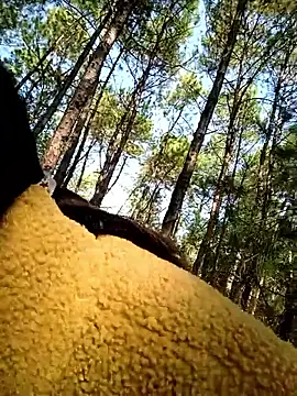 chengcheng12 online show from 11-25-25, 01:38