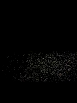 steelwoodVids online show from 11-19-25, 01:49