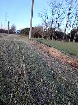 Prince-sexy online show from 01-06-26, 03:05