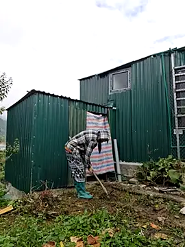 yoowwmr online show from 10-29-25, 01:41