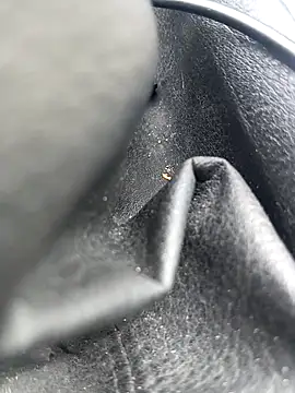 legaros online show from 04-03-26, 02:26