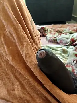 vichuhot online show from 09-26-25, 08:29