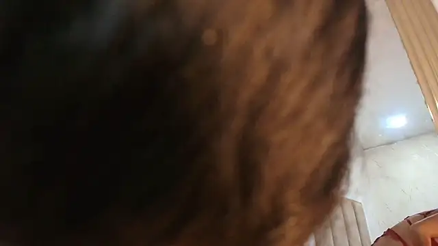 ArielleWilde online show from 02-06-26, 04:17