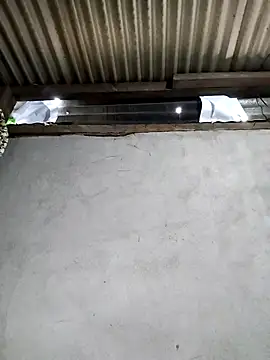 Snapshot of Baby-sexyass96 chatting on 02-26-26, 01:59 Baby-sexyass96 online show from 02-26-26, 01:59