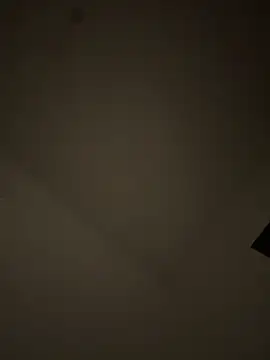 Snapshot of Lapampara0 chatting on 10-23-25, 10:52 Lapampara0 online show from 10-23-25, 10:52