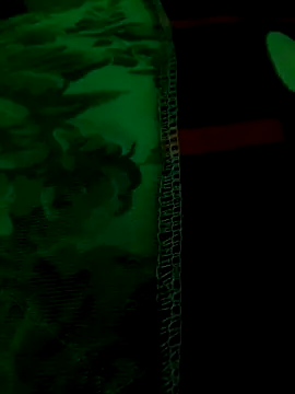 Snapshot of The-youngbigd chatting on 04-26-26, 03:53 The-youngbigd online show from 04-26-26, 03:53