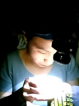 nasy lady online show from 10-12-25, 12:37