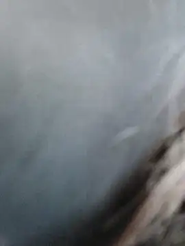 meomeocute online show from 03-11-26, 10:21