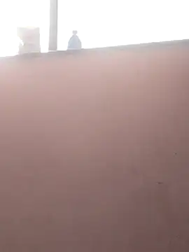 sneha bebo online show from 03-03-26, 09:26