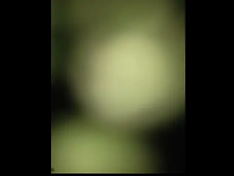 sobit1234 online show from 10-18-25, 06:52