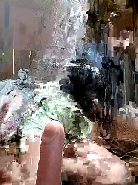 daisy will online show from 03-09-26, 05:00