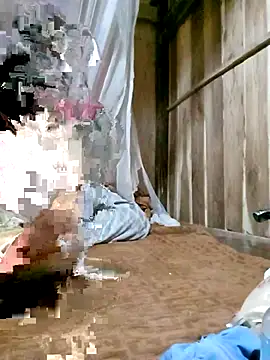 daisy will online show from 03-19-26, 12:36