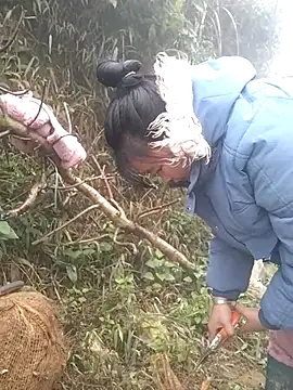 Chaotam1 online show from 02-03-26, 08:19