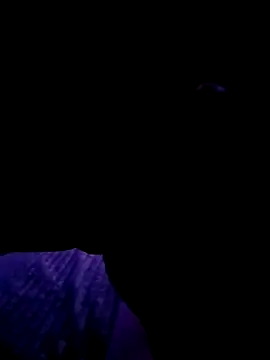 Thoma9034 online show from 10-23-25, 03:17