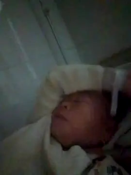 VangLe73 online show from 12-22-25, 10:51