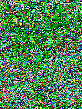 Snapshot of linhbe96xxx chatting on 11-03-25, 02:13 linhbe96xxx online show from 11-03-25, 02:13