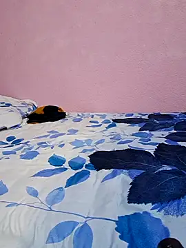 tharki-anand online show from 02-27-26, 06:52