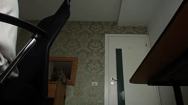 Snapshot of FelixStarkk chatting on 11-07-25, 05:29 FelixStarkk online show from 11-07-25, 05:29