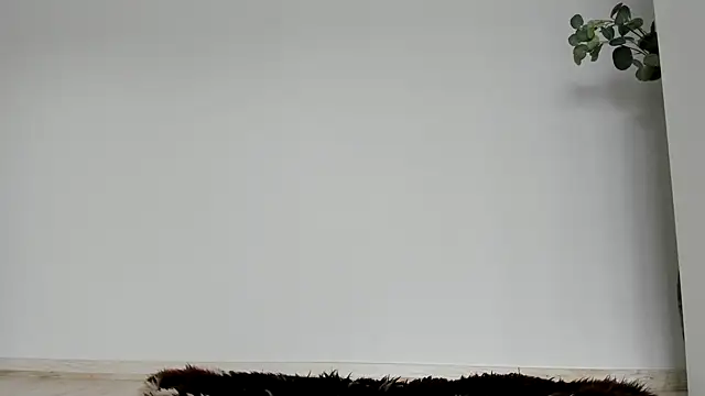 Snapshot of Cimbelka chatting on 06-01-26, 06:37 Cimbelka online show from 06-01-26, 06:37