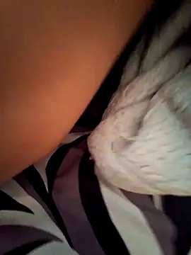 BooingCabalist online show from 03-10-26, 05:45