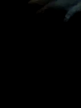 Snapshot of pollitaloca123 chatting on 11-07-25, 09:04 pollitaloca123 online show from 11-07-25, 09:04