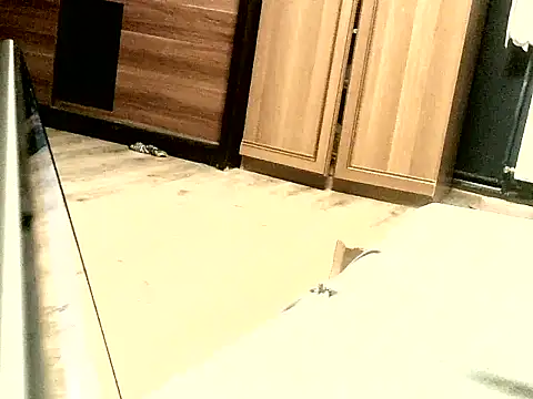 KissMeAss9387 online show from 09-28-25, 07:08