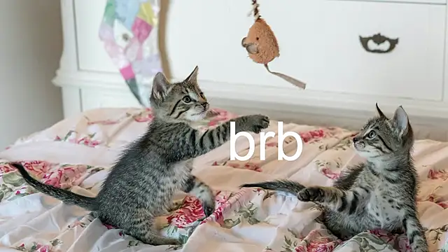 Pink girl0n online show from 03-18-26, 09:51