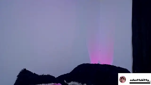 celestte evans 1 online show from 03-06-26, 04:20