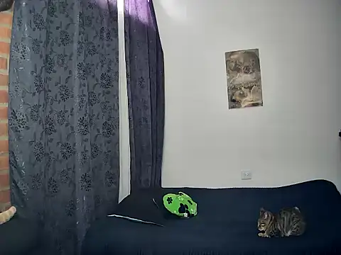 Snapshot of juantalents chatting on 10-15-25, 02:39 juantalents online show from 10-15-25, 02:39