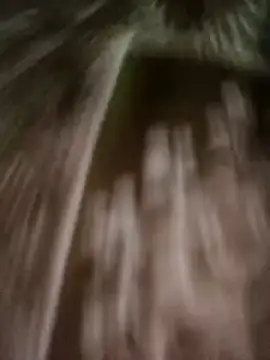 Snapshot of Love-pari08 chatting on 11-09-25, 10:46 Love-pari08 online show from 11-09-25, 10:46