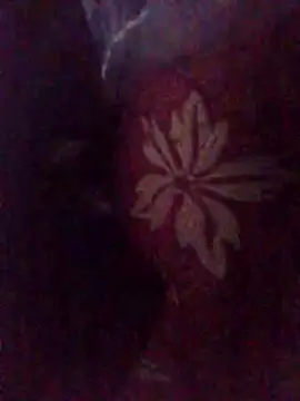 Amin Dz-20 online show from 01-07-26, 11:29