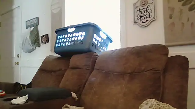 Snapshot of alwayshorny90 chatting on 11-05-25, 05:35 alwayshorny90 online show from 11-05-25, 05:35