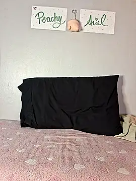 Snapshot of PeachyAriel chatting on 04-17-26, 02:25 PeachyAriel online show from 04-17-26, 02:25