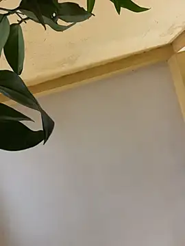 femboyslqueen online show from 12-01-25, 06:40