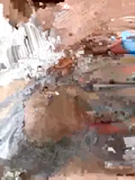 tw swag online show from 01-06-26, 07:45