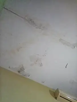 Snapshot of cometa267 chatting on 10-14-25, 05:58 cometa267 online show from 10-14-25, 05:58