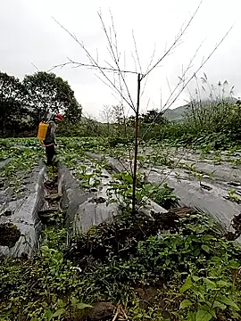 Exembin online show from 10-24-25, 01:57