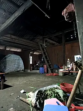 Exembin online show from 11-08-25, 09:42