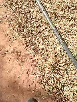 sonotutto online show from 10-13-25, 10:26