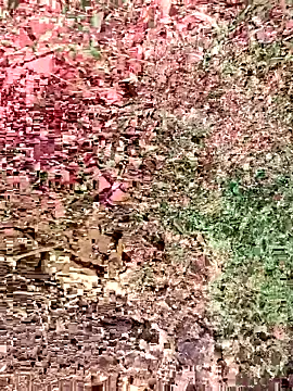 sonotutto online show from 10-15-25, 08:36