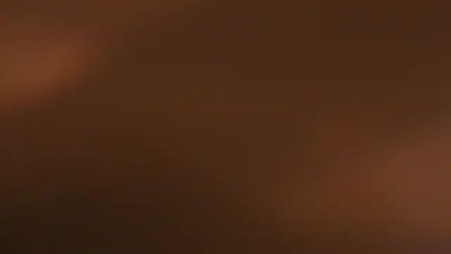 WILD FIREE  online show from 10-12-25, 08:19