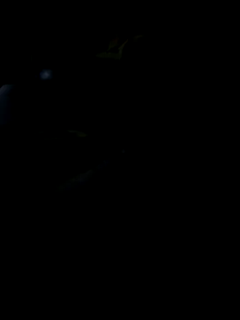 Reeelo online show from 11-19-25, 05:57