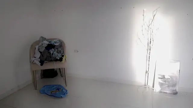 Stein  online show from 09-25-25, 11:58