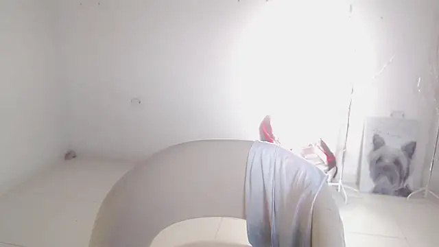 Stein  online show from 09-26-25, 12:09