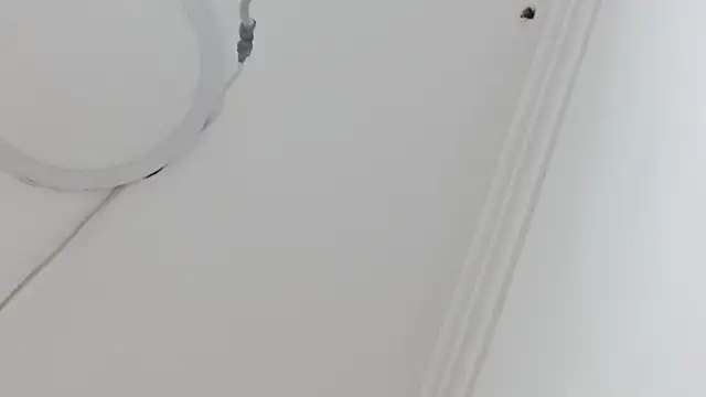 Atley Dolly online show from 09-21-25, 09:38