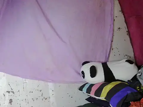 violen786 online show from 10-29-25, 07:54